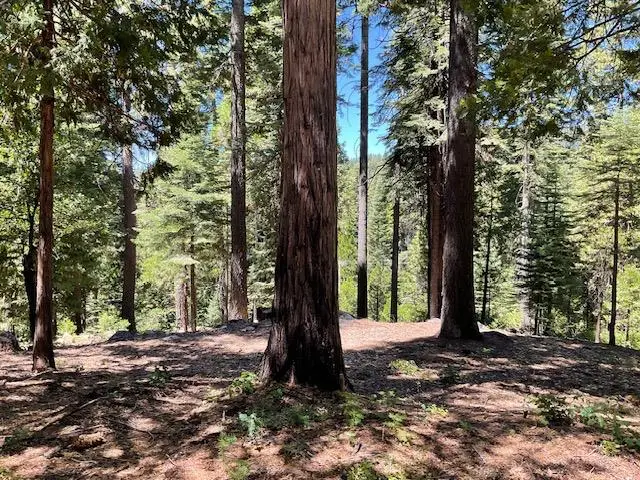 1619 Shoshone Drive, Dorrington, CA 95223 - Image #2