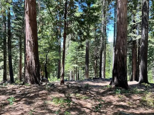 1619 Shoshone Drive, Dorrington, CA 95223 - Image #3