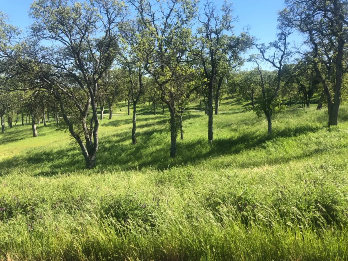 367 Knolls Drive, Copperopolis, CA 95228 - Image #1