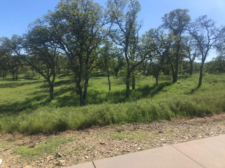 367 Knolls Drive, Copperopolis, CA 95228 - Image #3