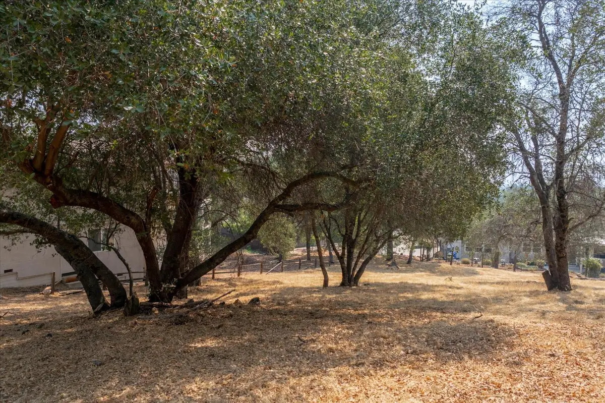0 736 Live Oak, Angels Camp, CA 95222 - Image #1