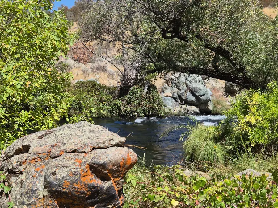 6647 Cane Lane, Valley Springs, CA 95252 - Image #3