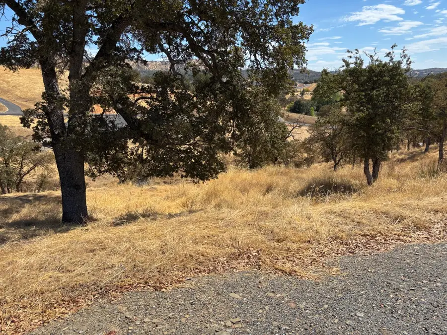 1122 Acorn Street, Copperopolis, CA 95228 - Image #3