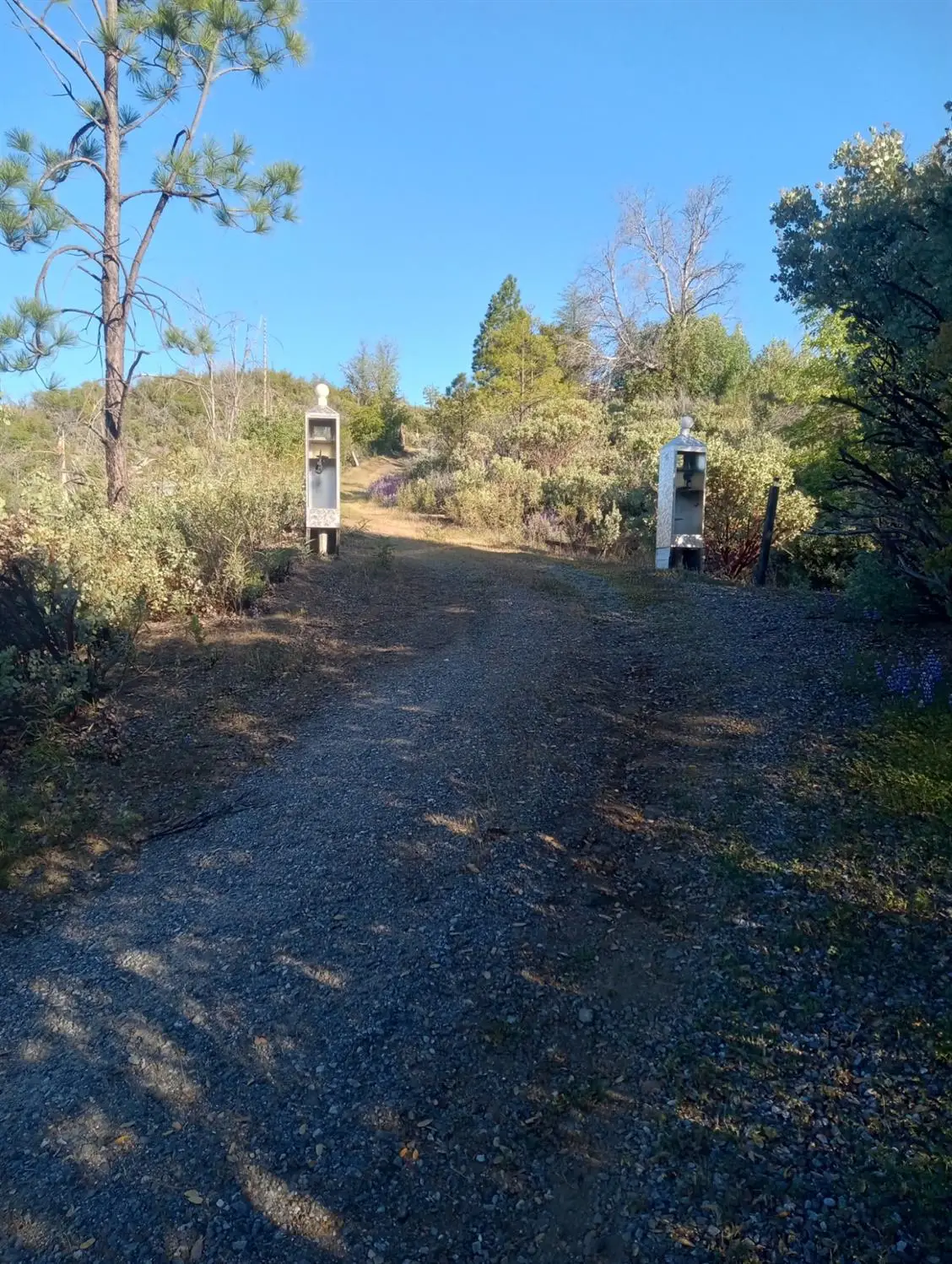 16140 Baker Riley Road, Mokelumne Hill, CA 95245 - Image #1