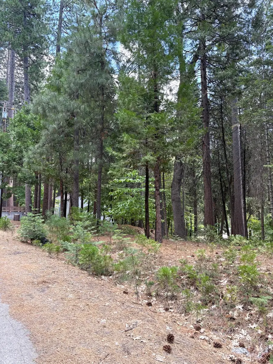 1964 Belmont Way, Arnold, CA 95223 - Image #2