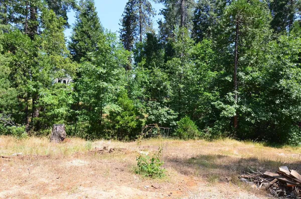 662 Roan Way, Avery, CA 95224 - #1