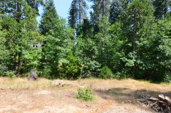 662 Roan Way, Avery, CA 95224