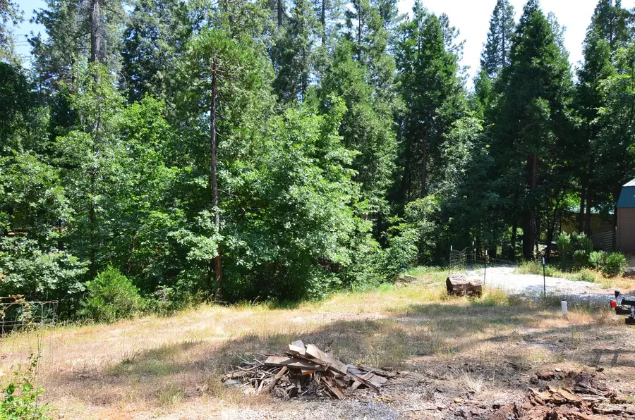 662 Roan Way, Avery, CA 95224 - #2