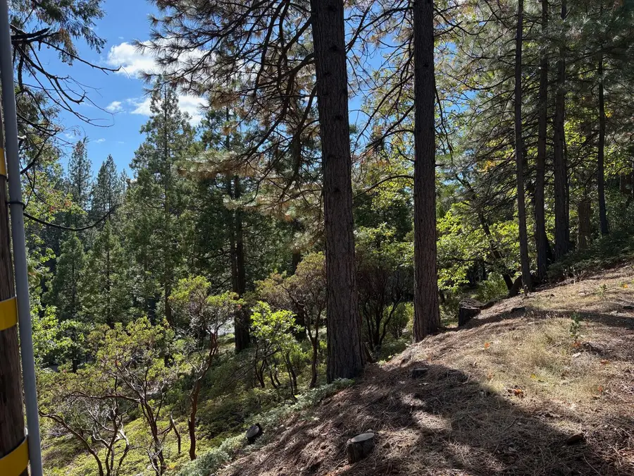 1984 Pine Cone Drive, Arnold, CA 95223 - Image #2