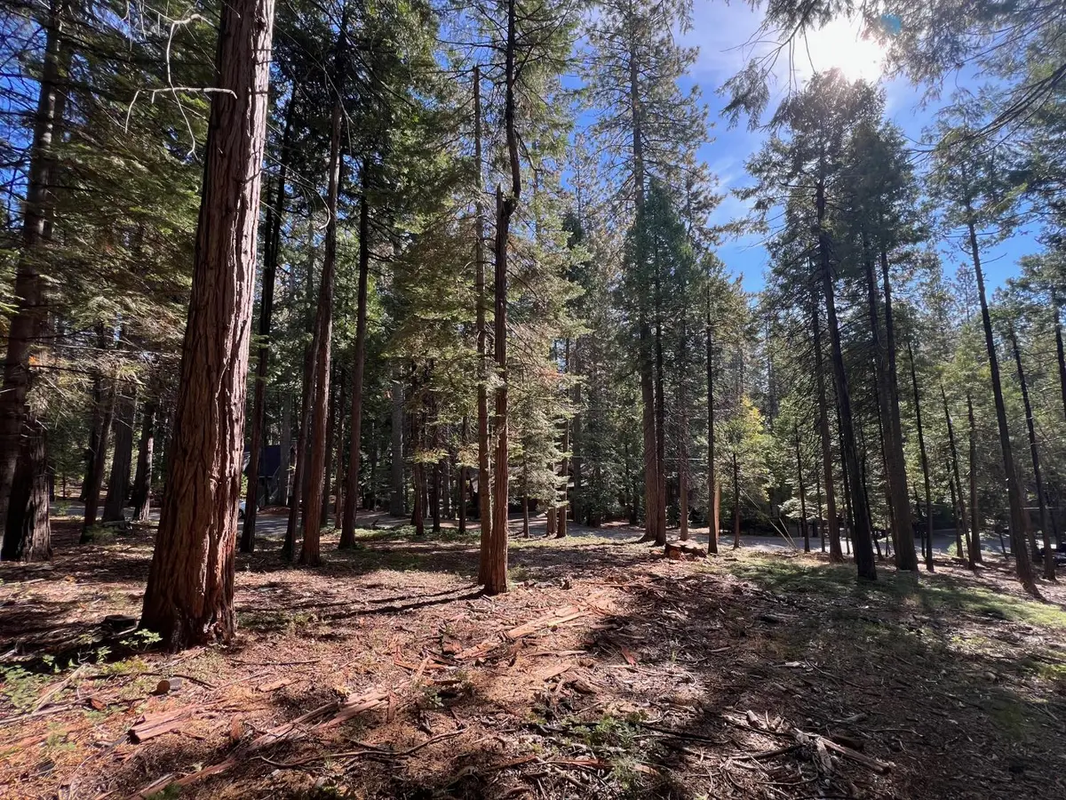 646 Dean Way, Arnold, CA 95223 - Image #1