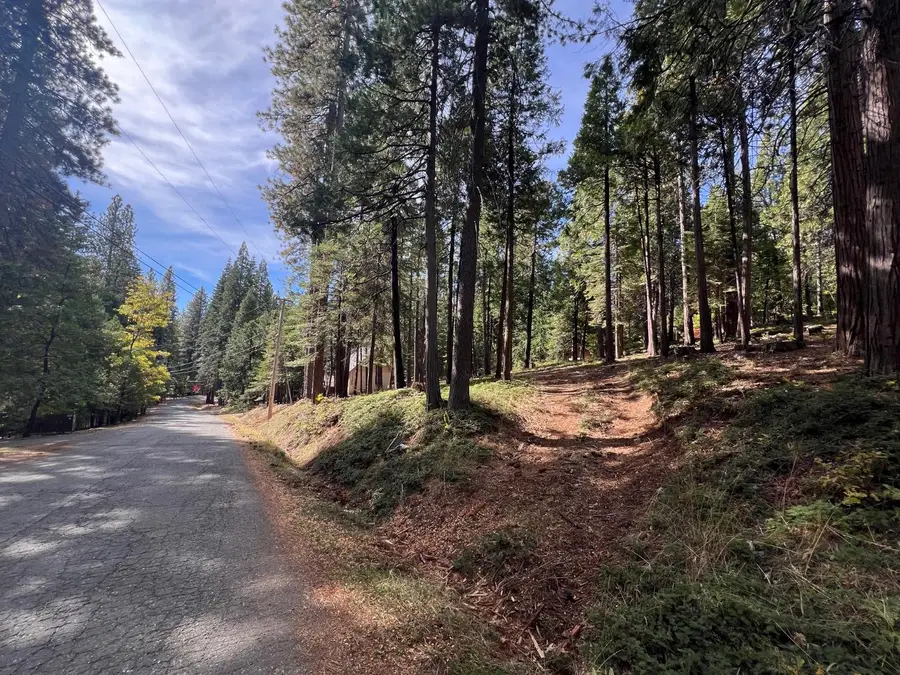 646 Dean Way, Arnold, CA 95223 - Image #2