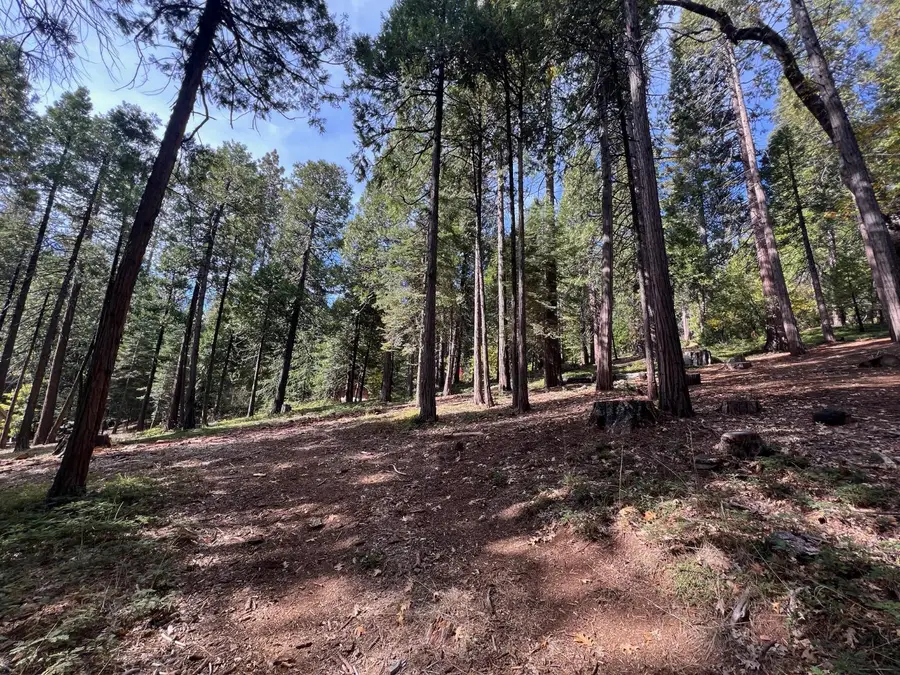 646 Dean Way, Arnold, CA 95223 - Image #3