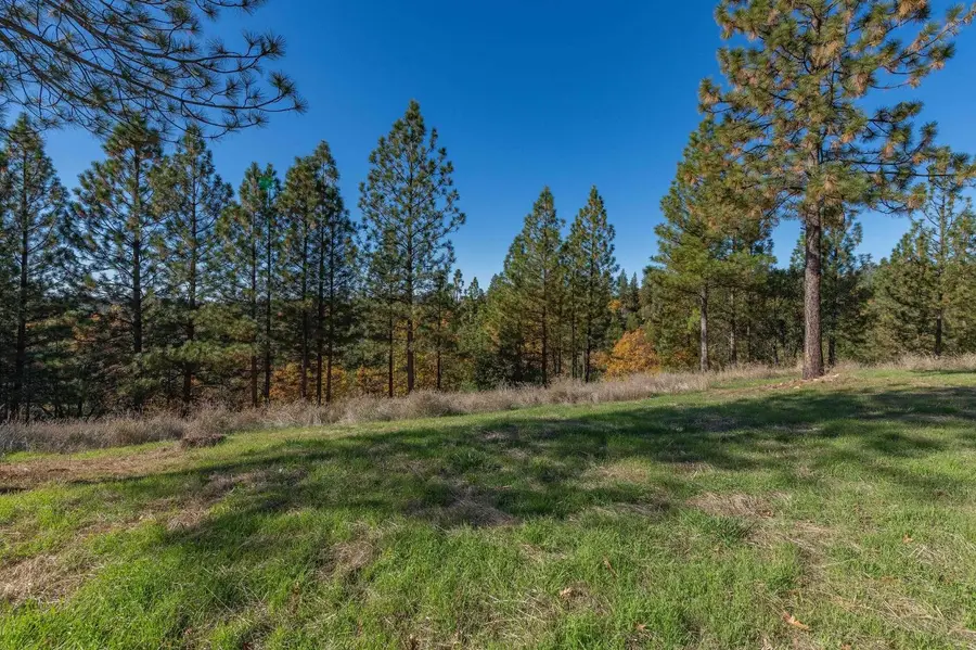 271 Sierra Madre Road, Rail Road Flat, CA 95248 - Image #3