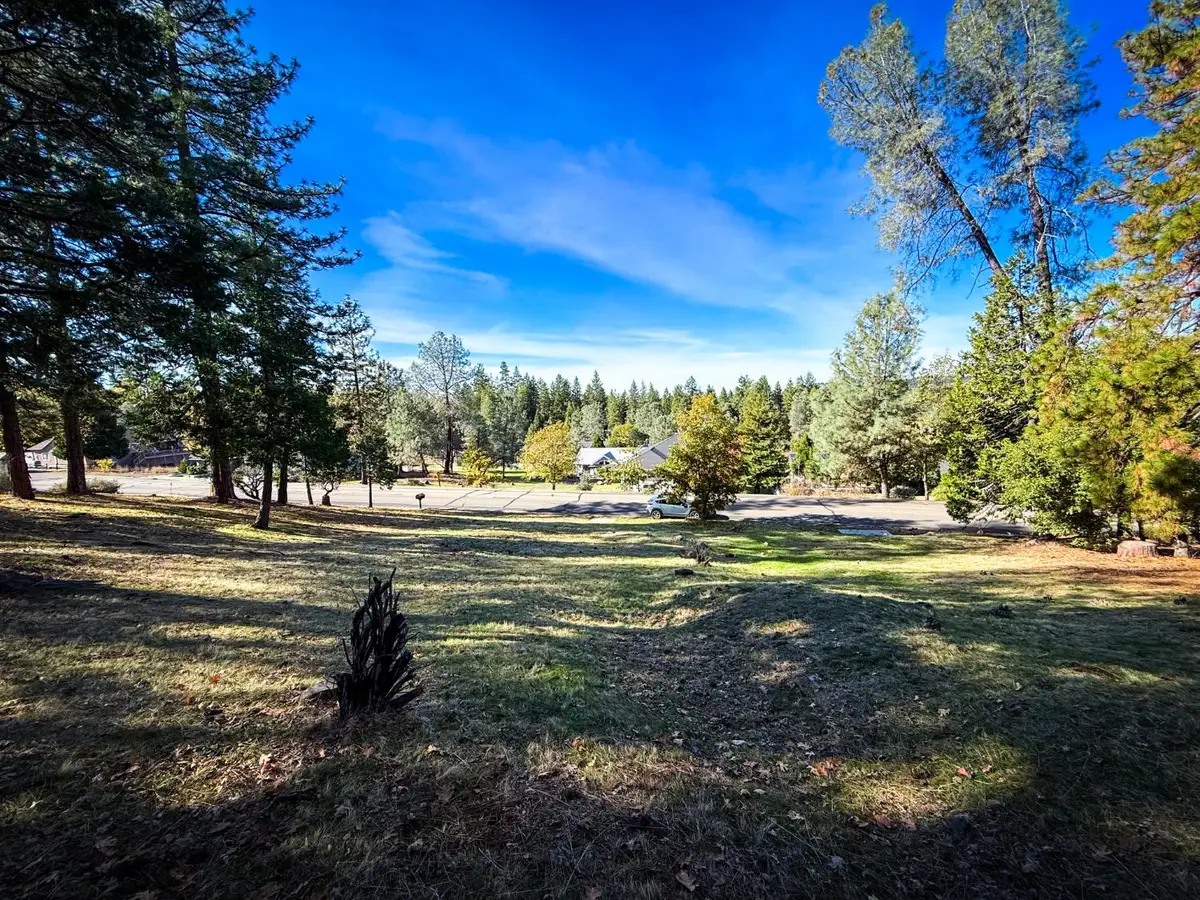 297 Forest Meadows Drive, Murphys, CA 95247 - Image #1