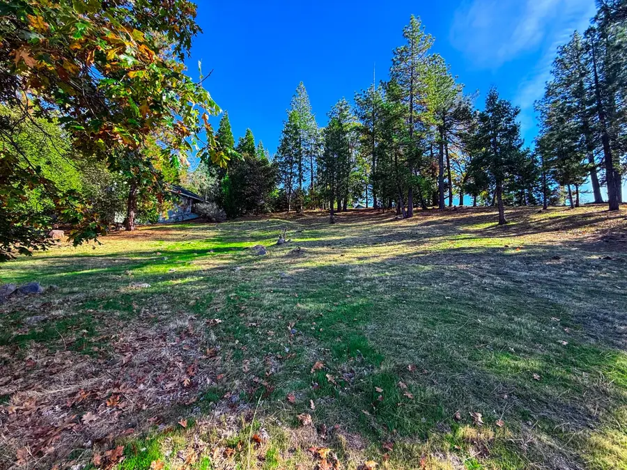 297 Forest Meadows Drive, Murphys, CA 95247 - Image #2
