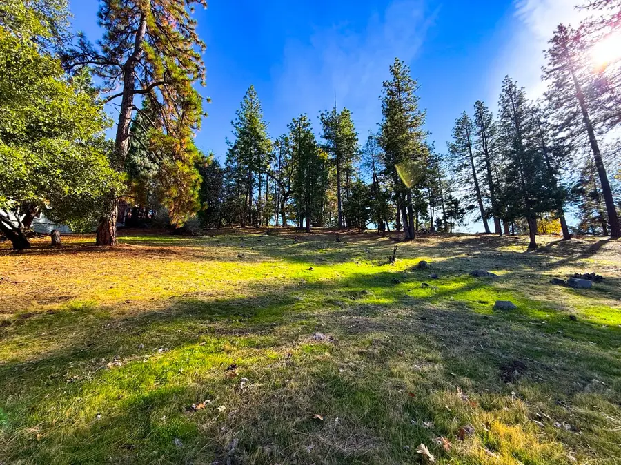 297 Forest Meadows Drive, Murphys, CA 95247 - Image #3