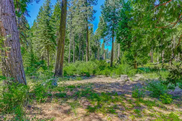 10 Timber Trail Court, Camp Connell, CA 95223