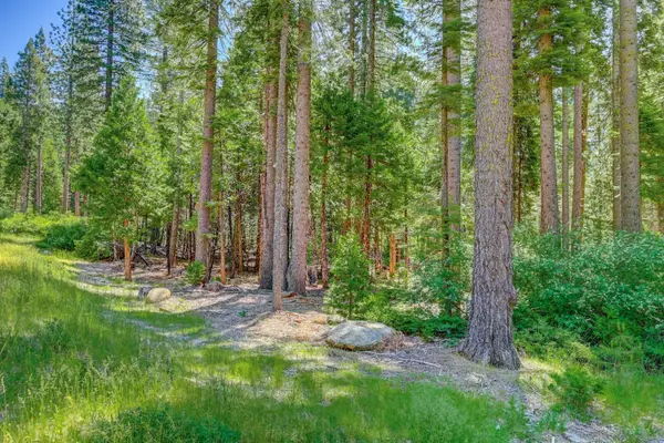 11 Timber Trail Court, Camp Connell, CA 95223