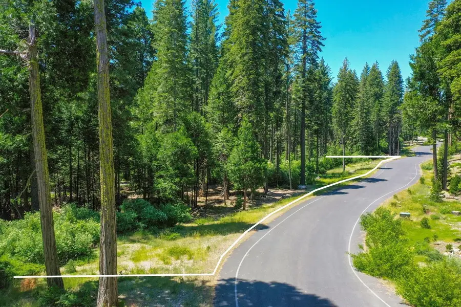 11 Timber Trail Court, Camp Connell, CA 95223 - Image #3