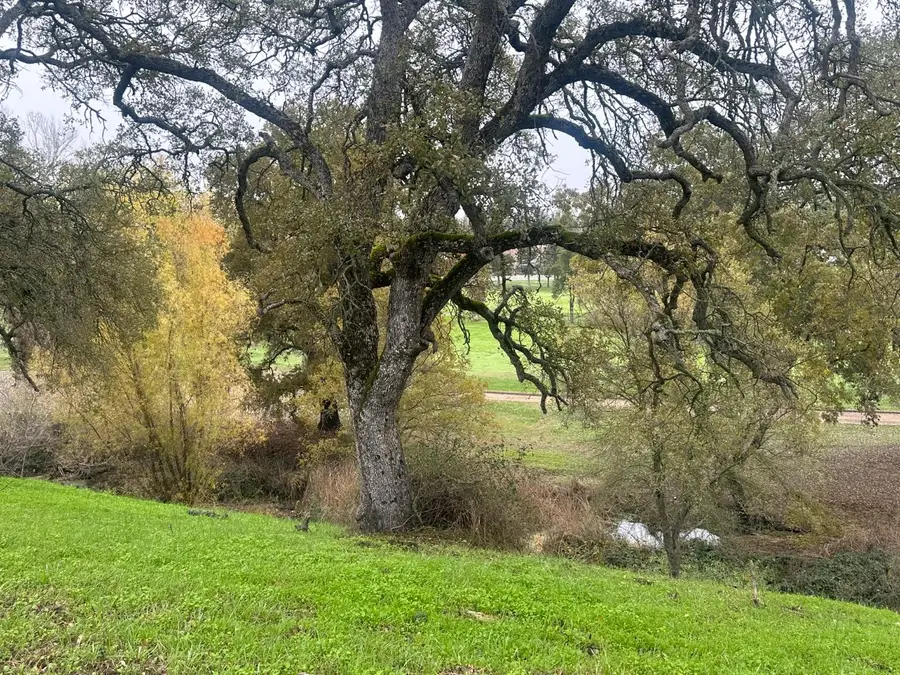 2063 Greenbriart, Valley Springs, CA 95252 - Image #3