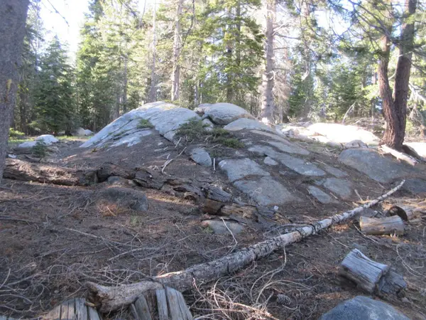 175 Silver Tip Drive, Bear Valley, CA 95223