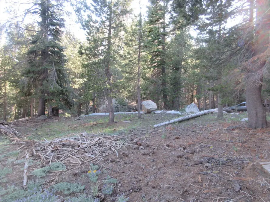 175 Silver Tip Drive, Bear Valley, CA 95223 - #2