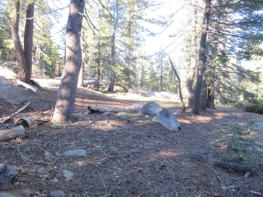 175 Silver Tip Drive, Bear Valley, CA 95223 - #3