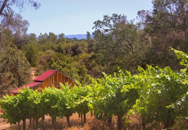49610 House Ranch Road, O neals, CA 93645