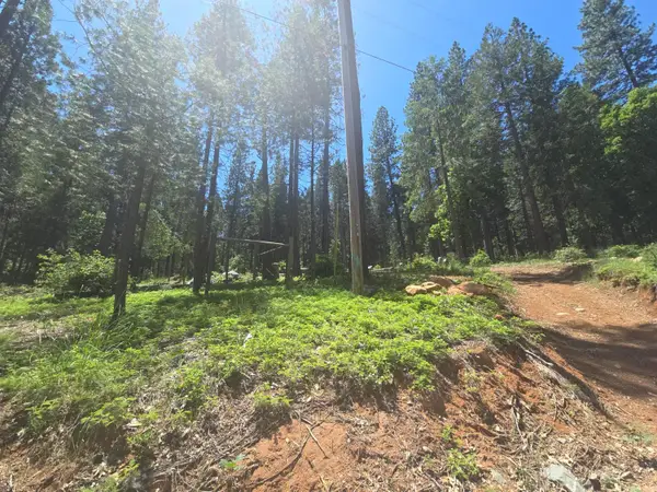 12181 Robust Way, Nevada City, CA 95959