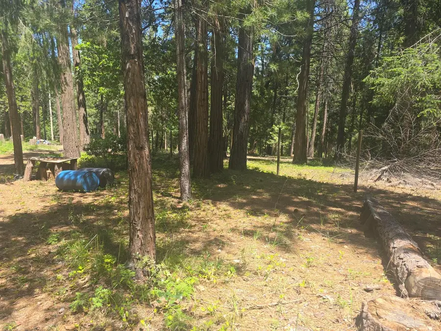 12181 Robust Way, Nevada City, CA 95959 - #3