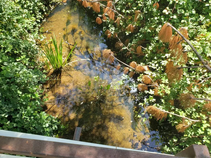 0 Greenwood Rd, Greenwood, CA 95635 - Image #2