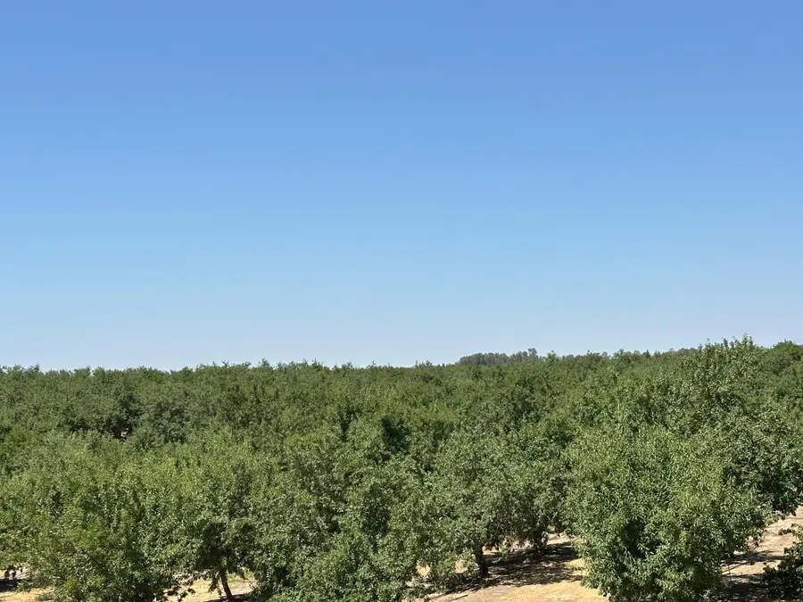 29710 Avenue 15 1/2, Madera, CA 93636 - #3