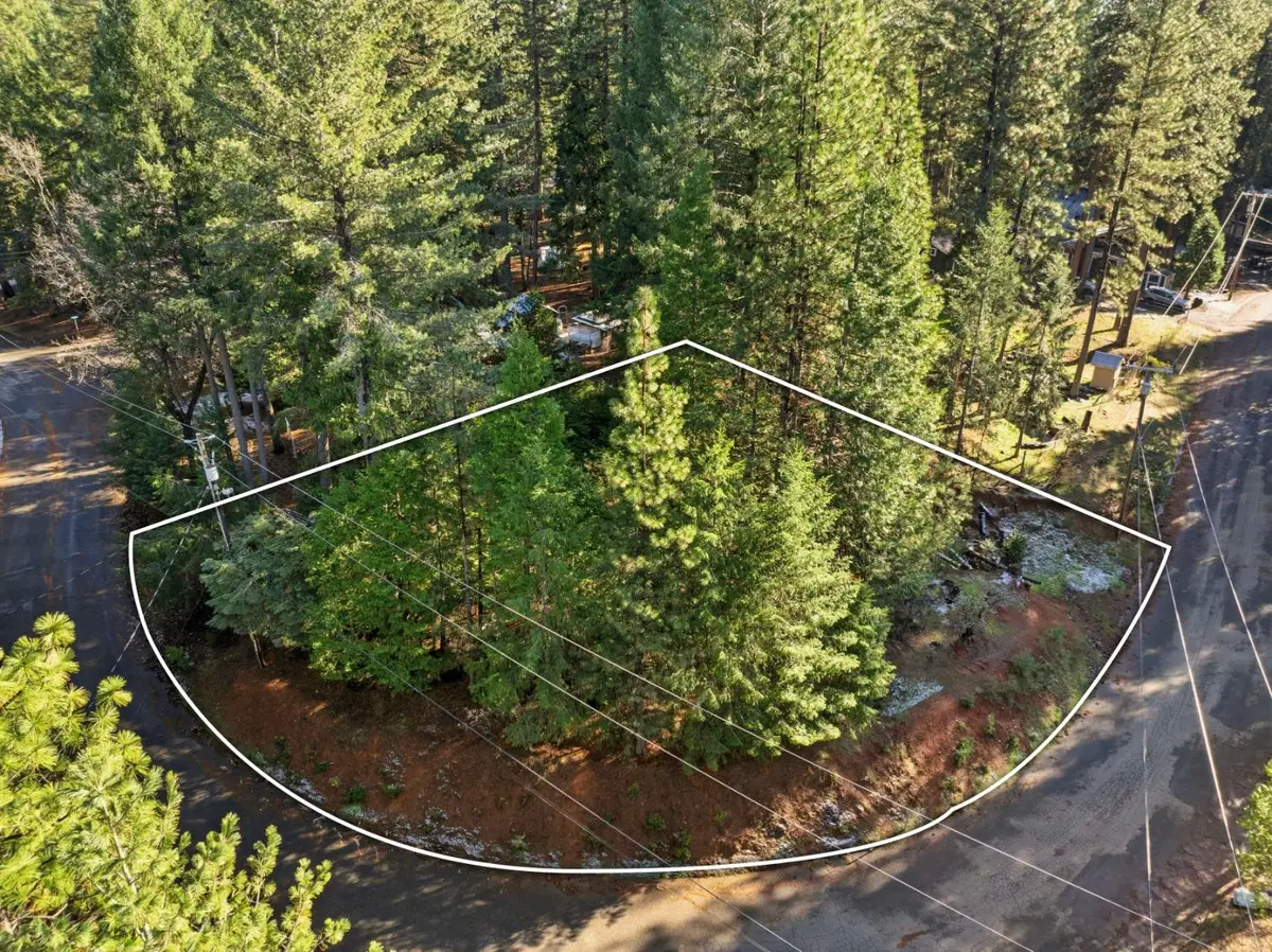 6962 Pioneer Drive, Grizzly Flats, CA 95636 - Image #1