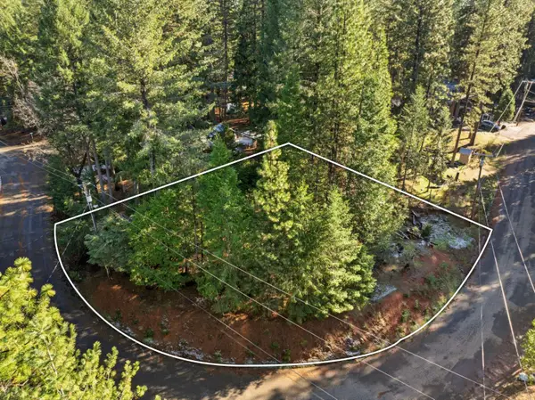 6962 Pioneer Drive, Grizzly Flats, CA 95636