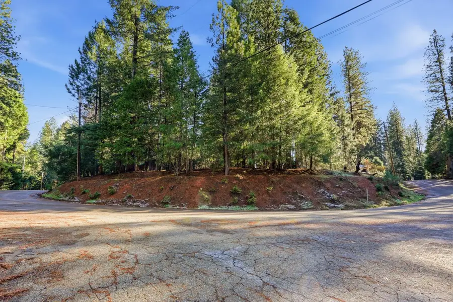 6962 Pioneer Drive, Grizzly Flats, CA 95636 - Image #3