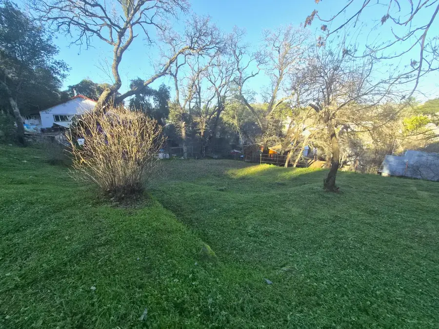 1350 Love Street, Angels Camp, CA 95222 - Image #3