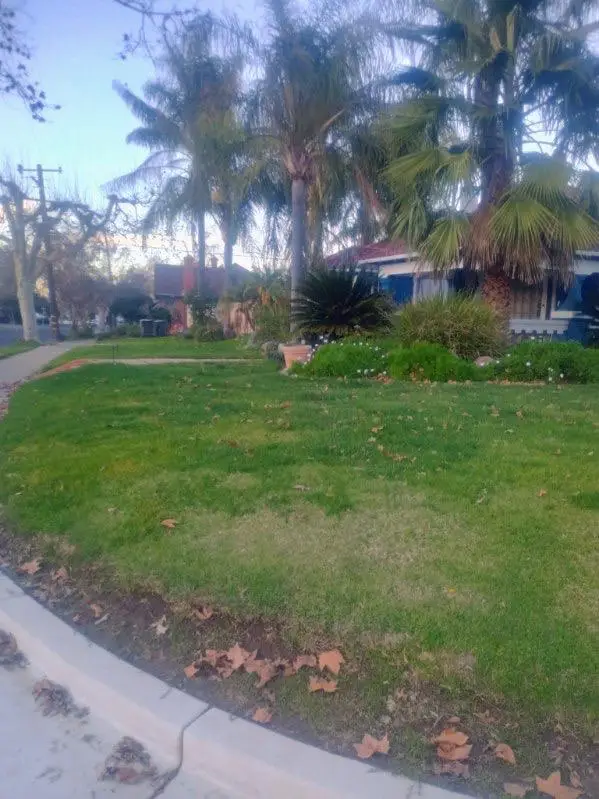 1306 Yale Avenue, Stockton, CA 95203 - Image #3