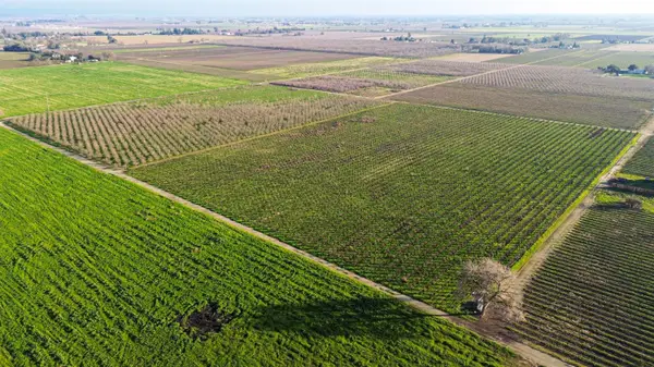 15910 N Locust Tree Road, Lodi, CA 95240