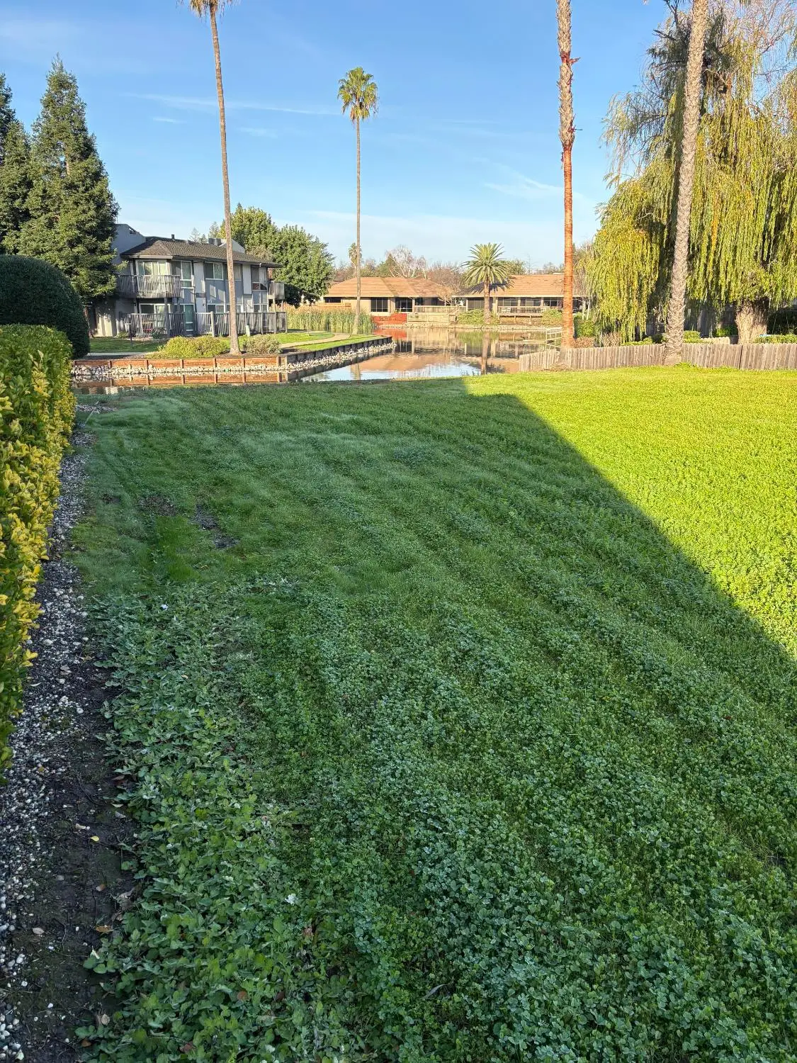 6 Lookout Court, Sacramento, CA 95831 - Image #1