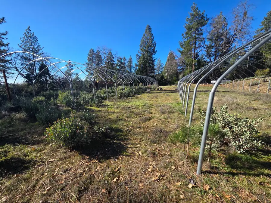 0 Canterbury, Pioneer, CA 95666 - Image #3