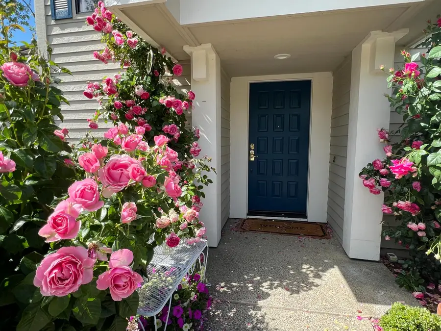 839 Lake Front Drive, Sacramento, CA 95831 - Image #3