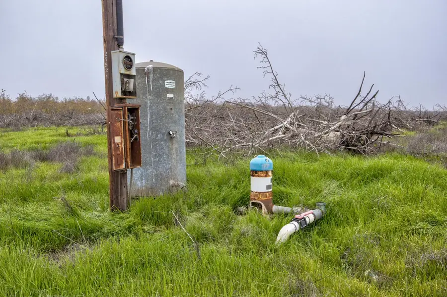 16605 Road 208, Porterville, CA 93257 - Image #3