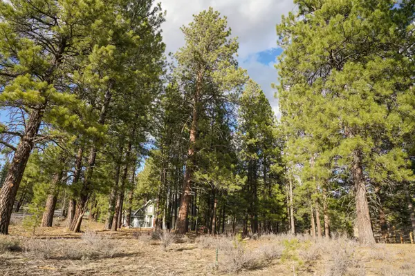 15627 Sudsbury Circle, Truckee, CA 96161