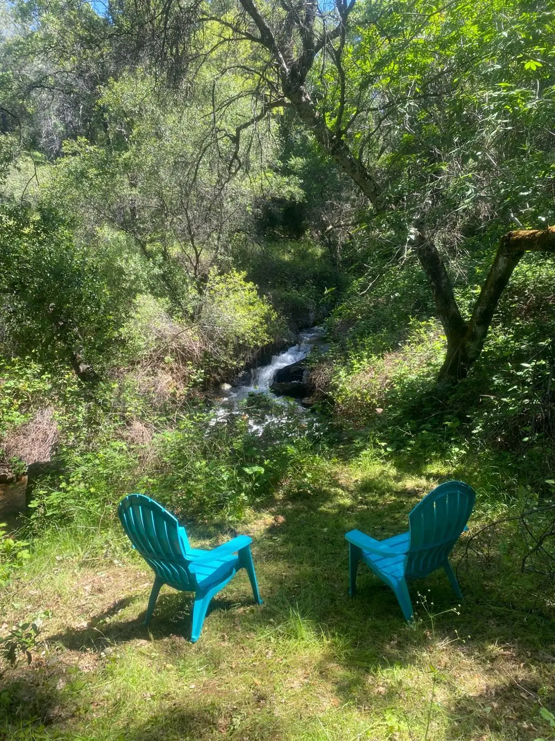 15806 Perimeter Road, Grass Valley, CA 95949 - #1