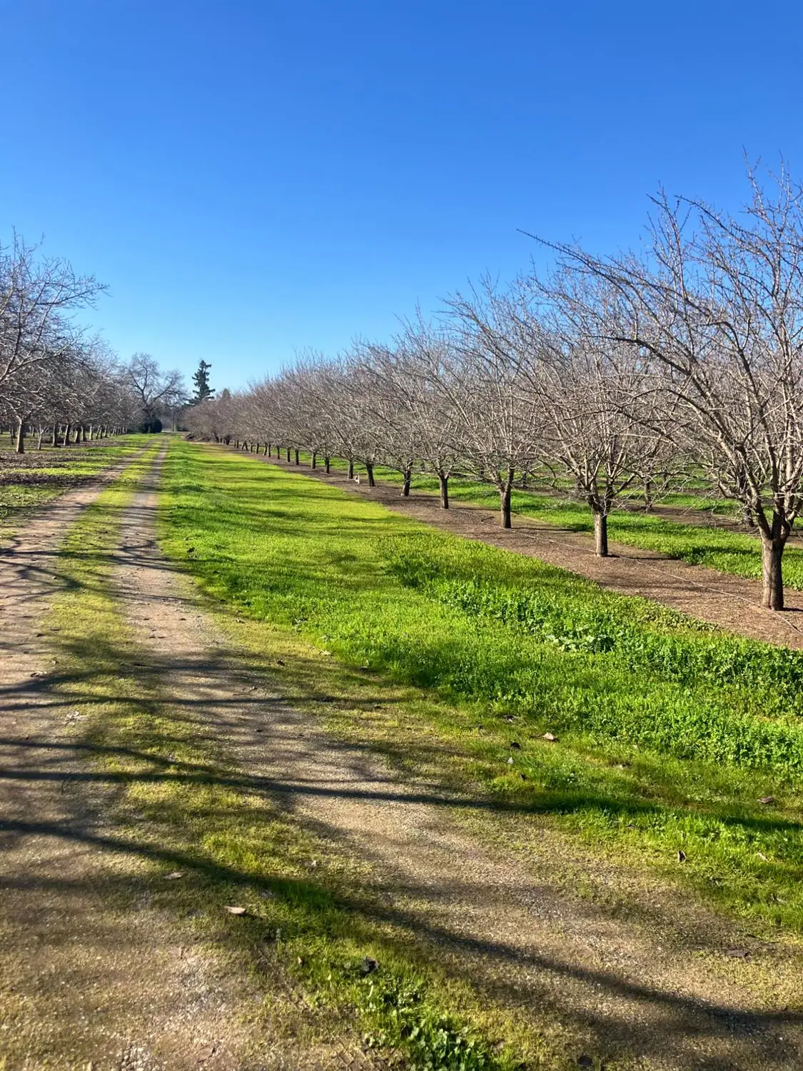 1935 Warnock Way, Durham, CA 95938 - Image #1