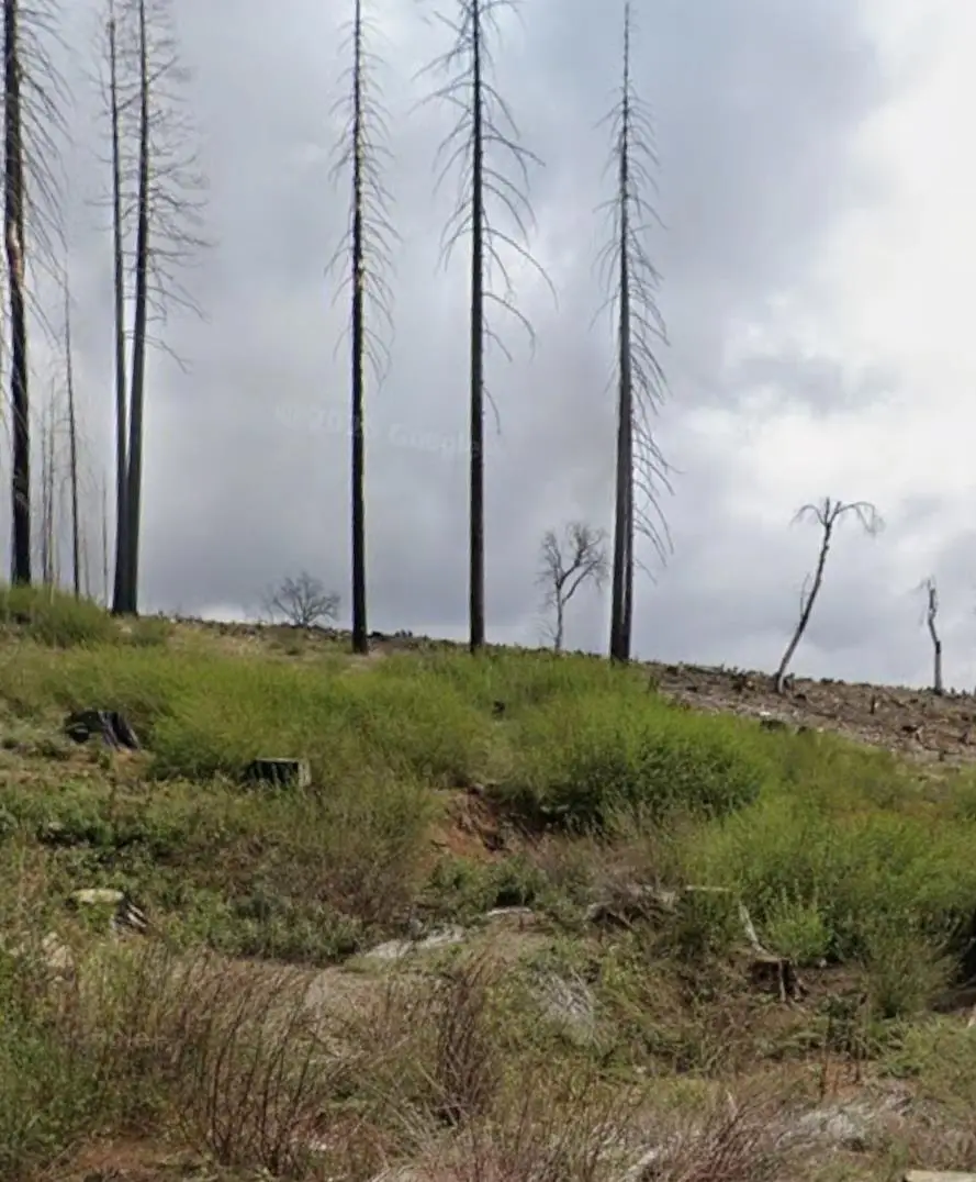 7450 Winding Way, Grizzly Flats, CA 95636 - Image #1