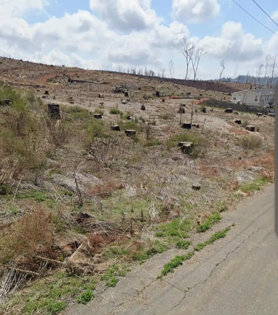 7450 Winding Way, Grizzly Flats, CA 95636 - Image #2