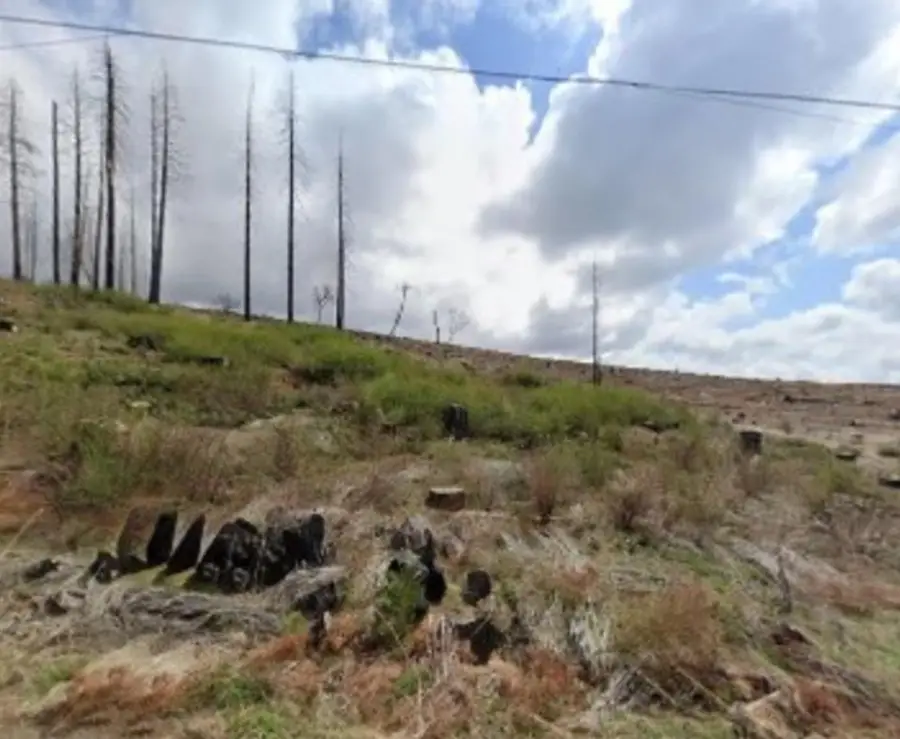 7450 Winding Way, Grizzly Flats, CA 95636 - Image #3