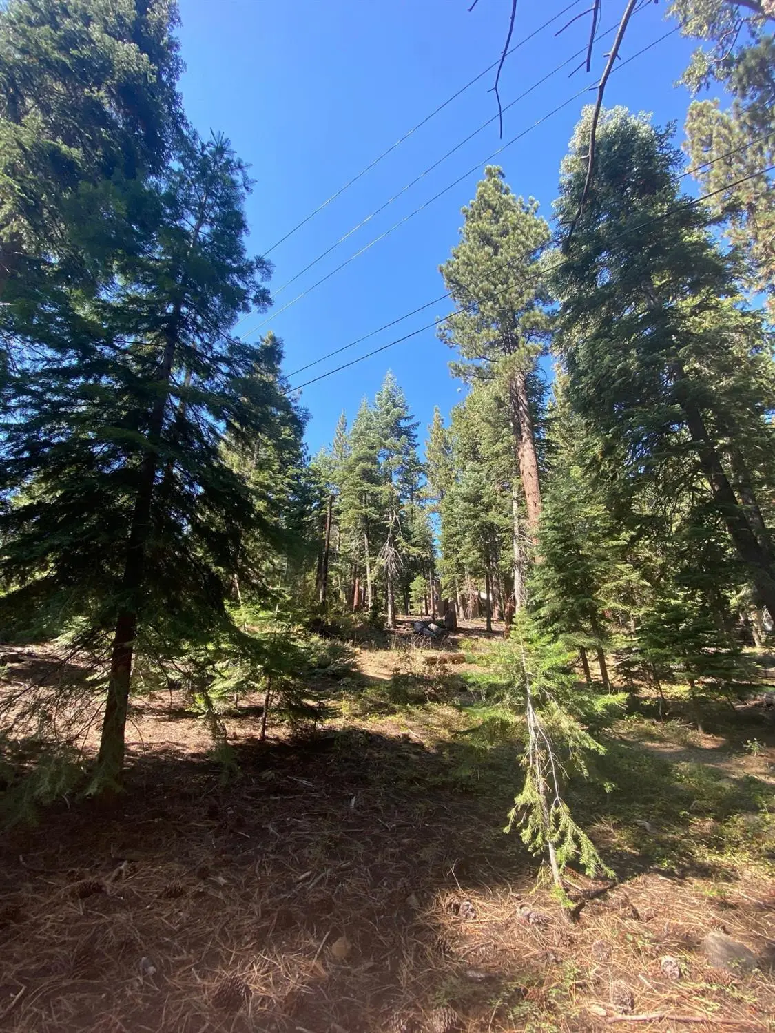 7464 Lily Avenue, Tahoe Vista, CA 96148 - Image #1
