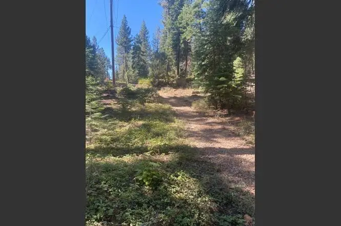 7464 Lily Avenue, Tahoe Vista, CA 96148 - Image #3